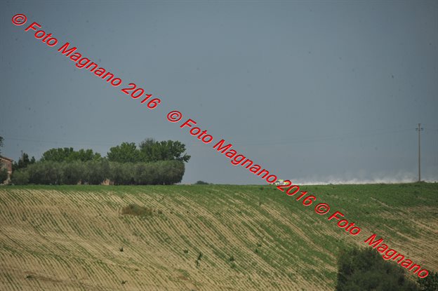DSC_4785.JPG